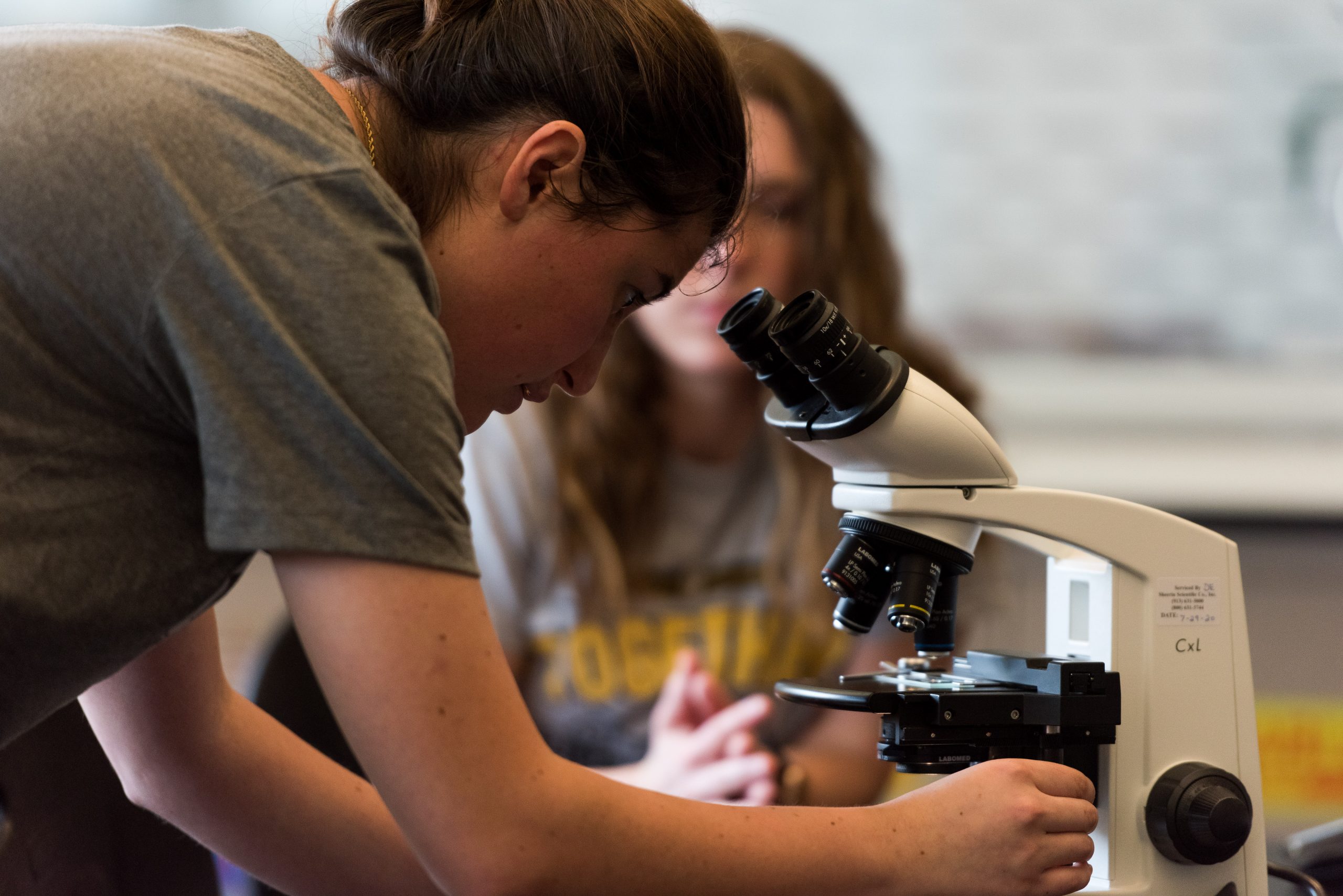 student adjusting specimen on a microscope as another student looks on