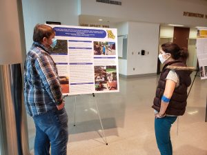 Portal [...]
</p srcset=