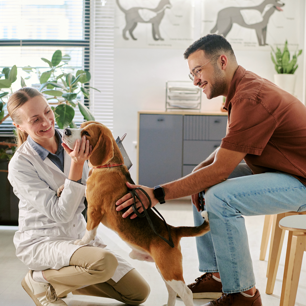 A Veterinarian meets with a dog and its owner.