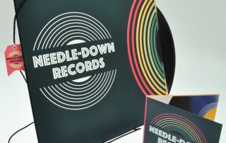 Needle Down, by Devin Halbirt