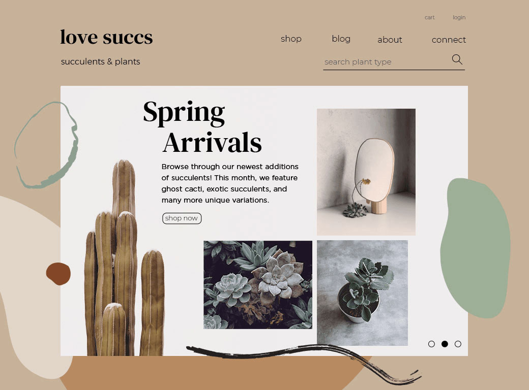 a website sample for a succulents website