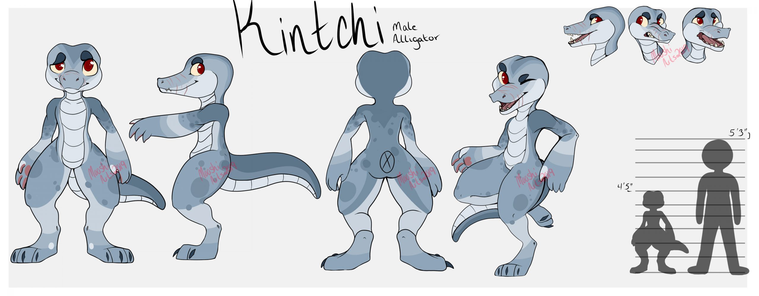 Kintchi Alligator Character Design