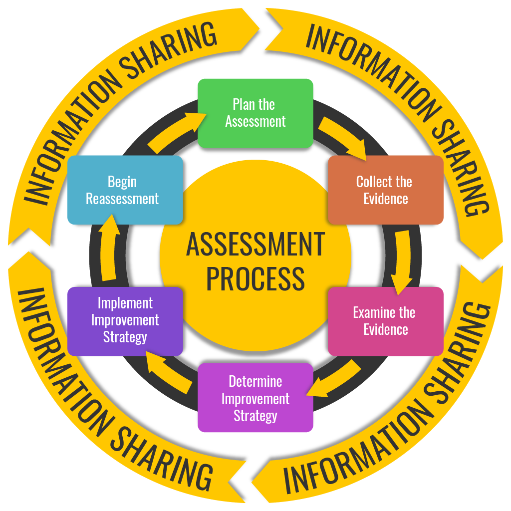 Assessment process infogrpahic