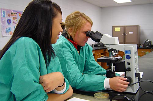 Two students, one looking in a microscope