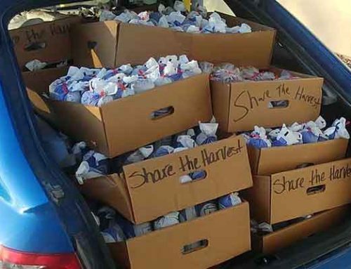 Wildlife Society distributes record number of meals