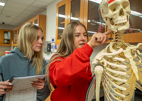 Two students in hoodies examine the spine of a model skeleton.