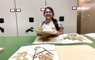 Dr. Roy at Botanical Garden