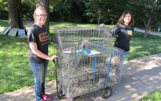 img_4305 trapping opossums