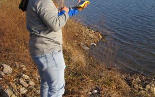 img_6417 using gis to locate canada goose nests
