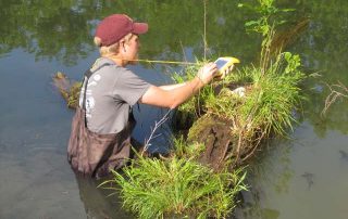 img_7219 using gis to mark a canada goose nest location