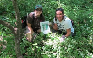 img_7261 locating raccoon dens using gis maps