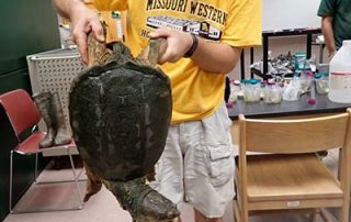 OLYMPUS DIGITAL CAMERA Dr. Mills with Turtle