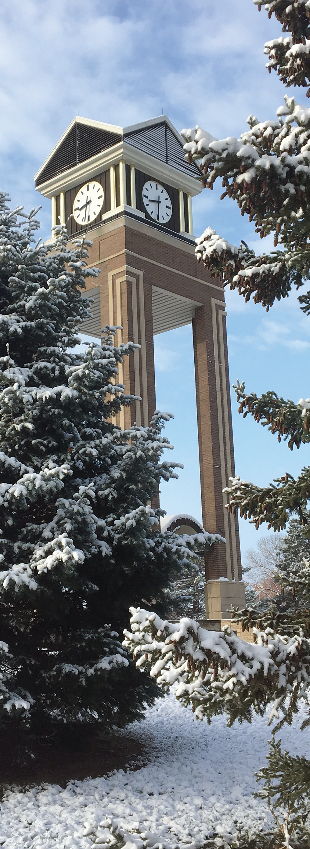 clocktower in winter behind trees