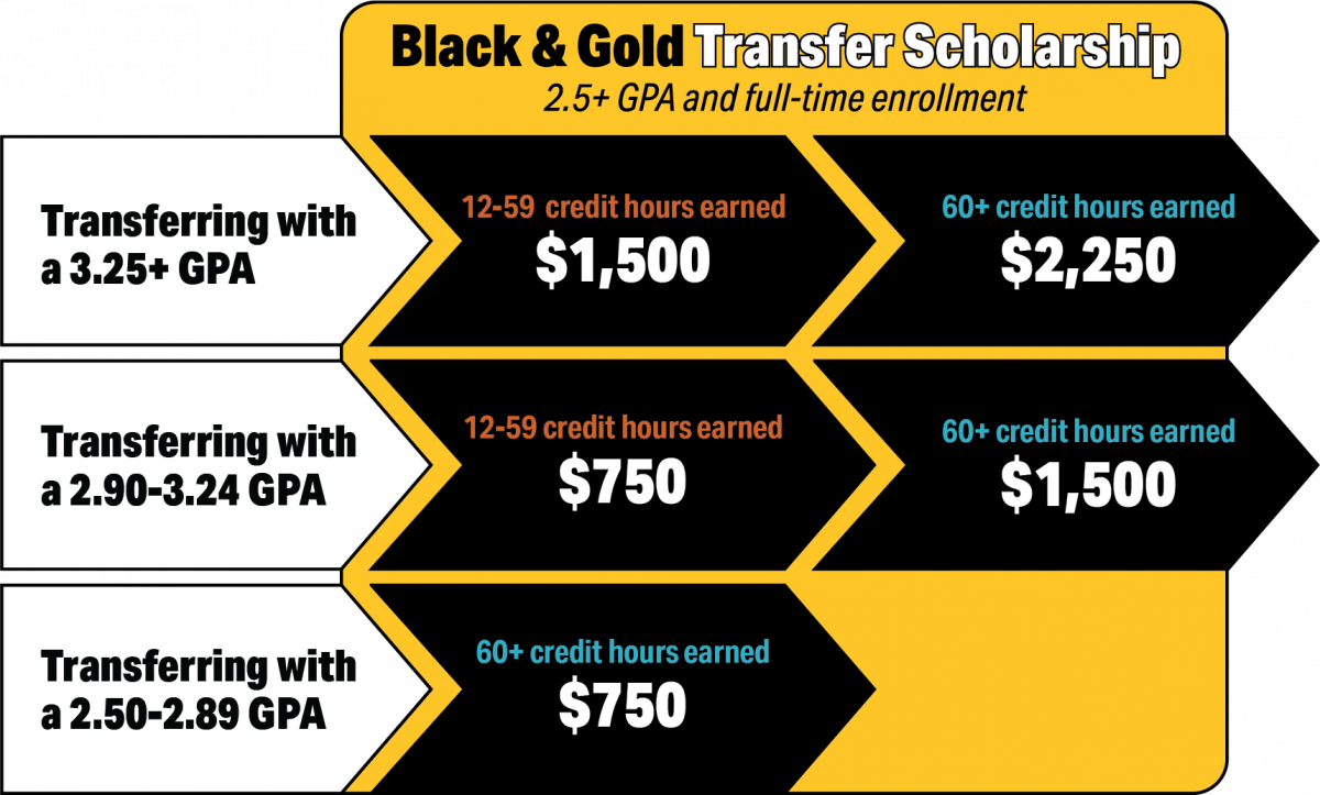 Black & Gold Scholarship Transfer Scholarship Financial Aid