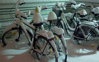 Vintercyklar Malmö University