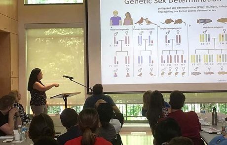 Ashley Elias presentation about genetic sex determination