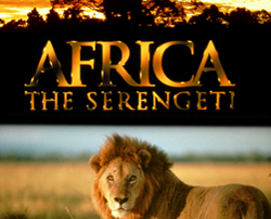 africa the serengeti