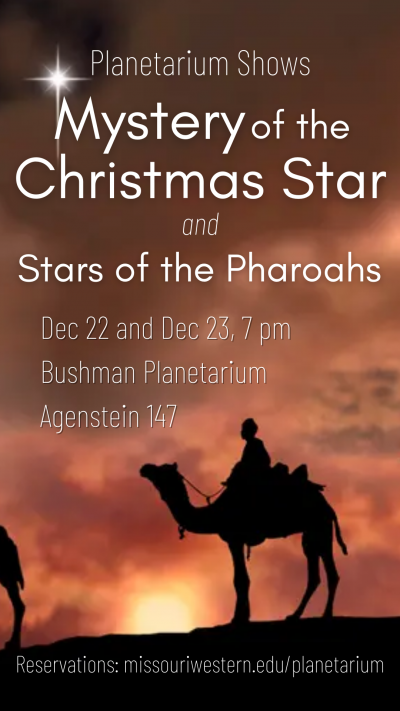 camel rider silhouette bright star, show details