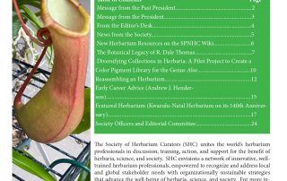 cover of Vascuum newsletter