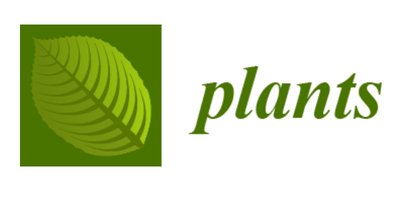 plants journal logo