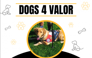 dogs 4 valor service dog