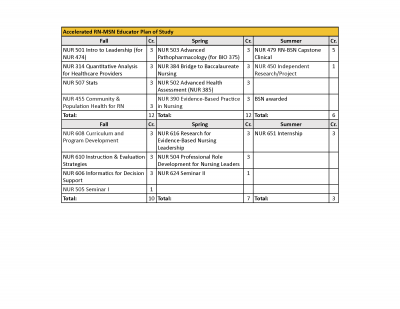 Accelerated RN-MSN Track – Nursing