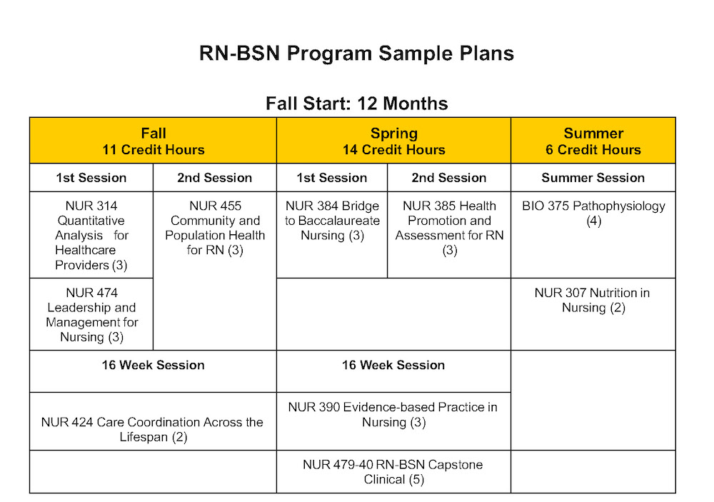 Updated RN-BSN Sample Plans - Google Docs_Page_1