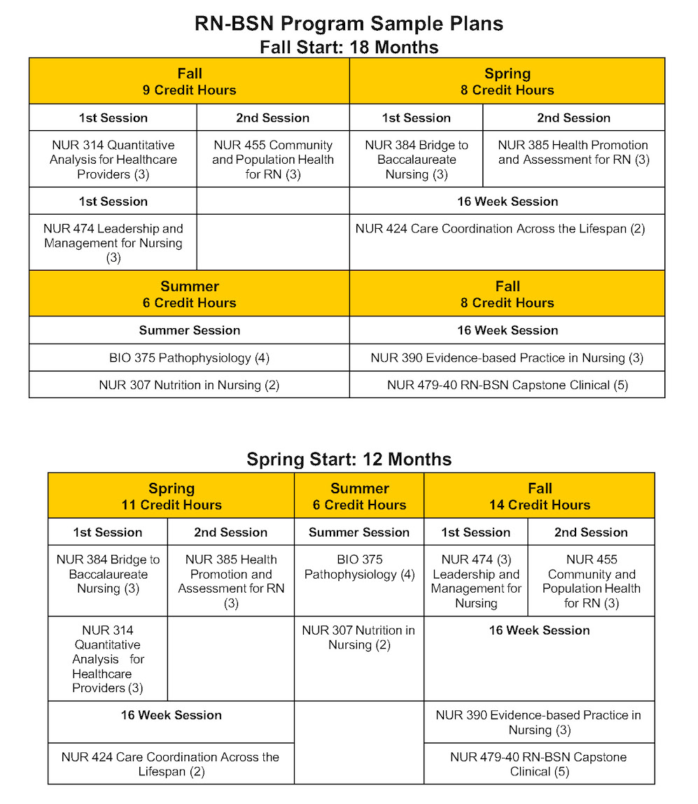 Updated RN-BSN Sample Plans - Google Docs_Page_2