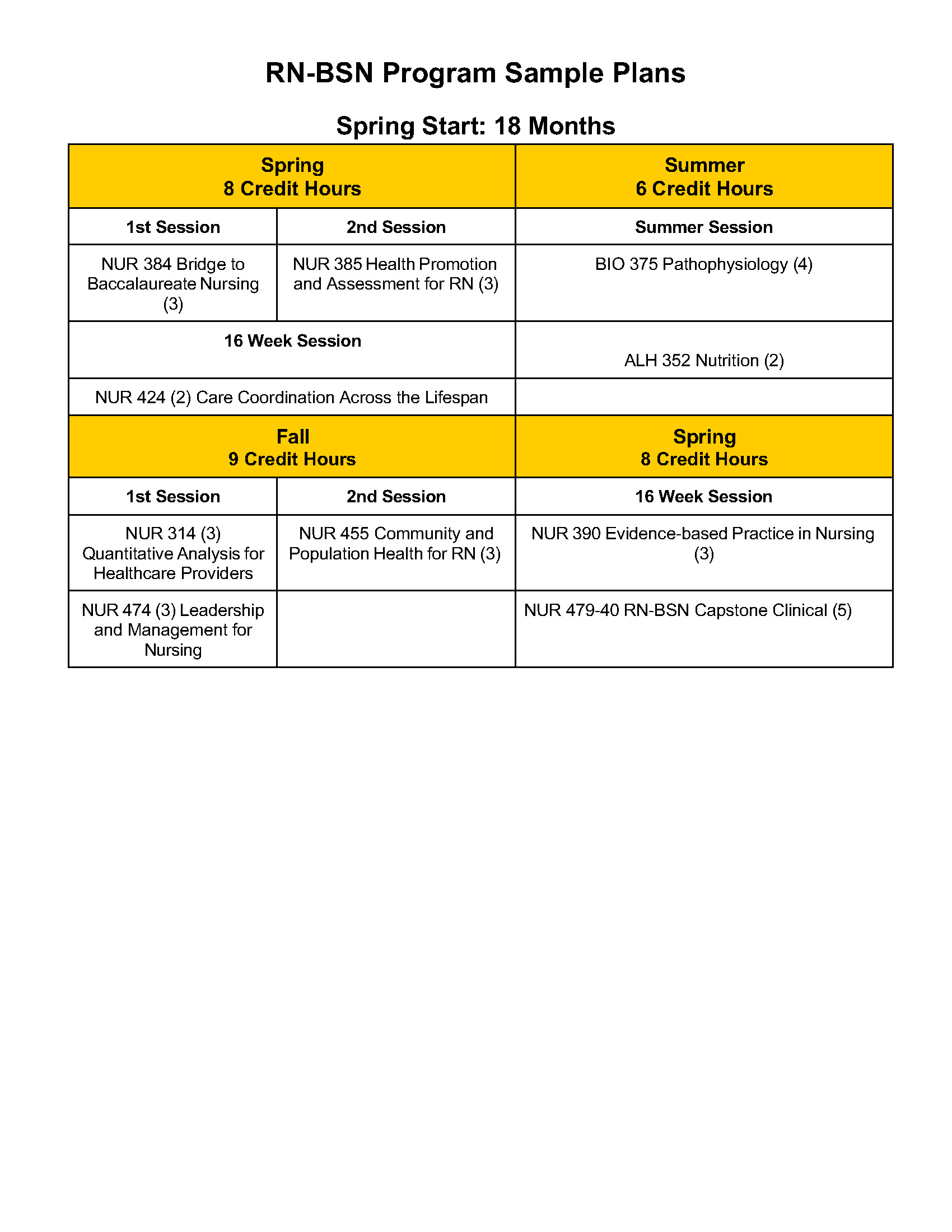 Updated RN-BSN Sample Plans - Google Docs_Page_3