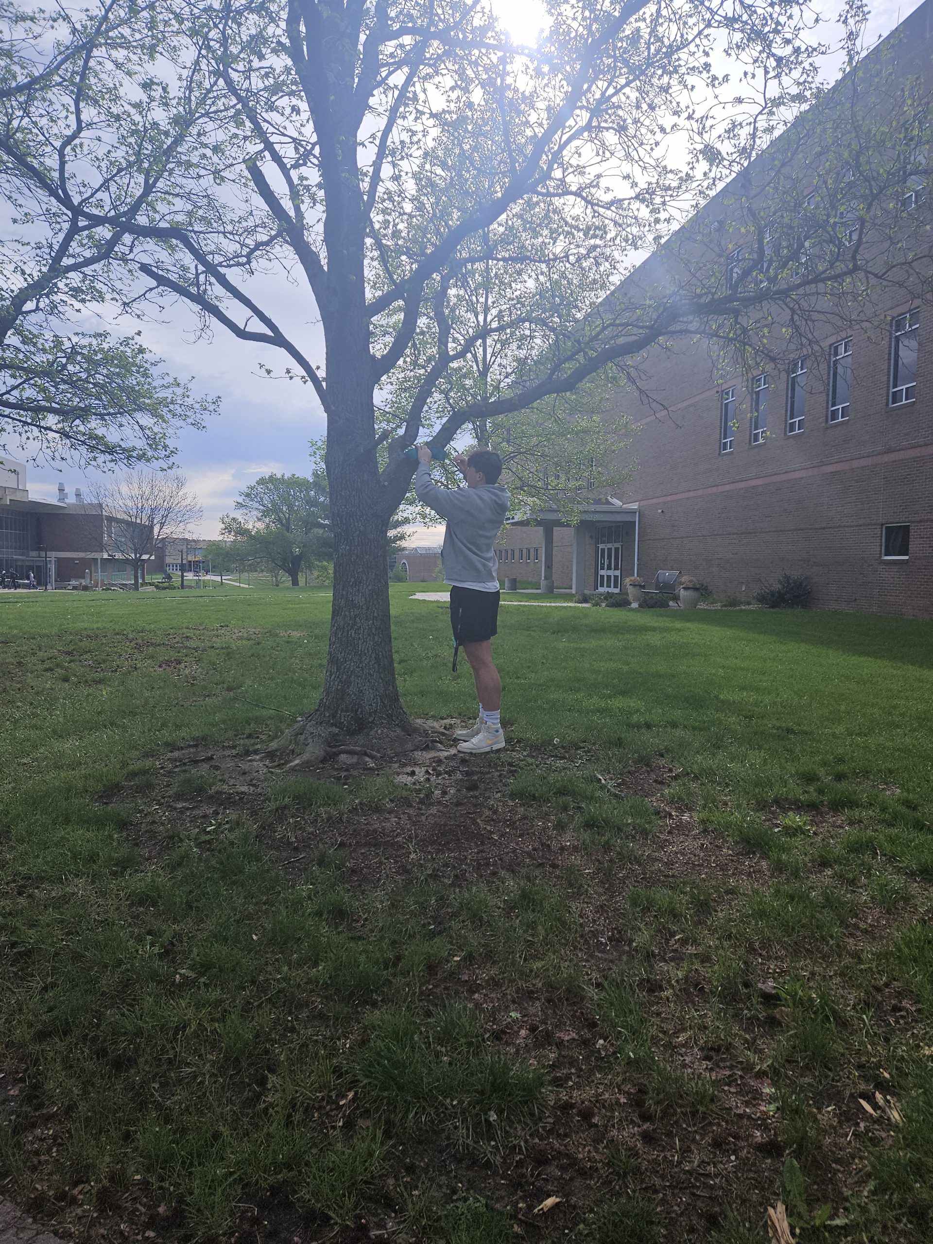 Sexual Assault Awareness Month: Ribbons Across Campus SAAM