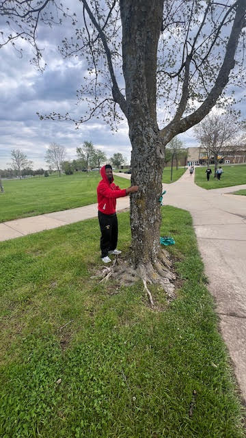 Sexual Assault Awareness Month: Ribbons Across Campus SAAM