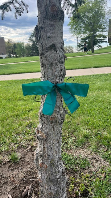 Sexual Assault Awareness Month: Ribbons Across Campus SAAM