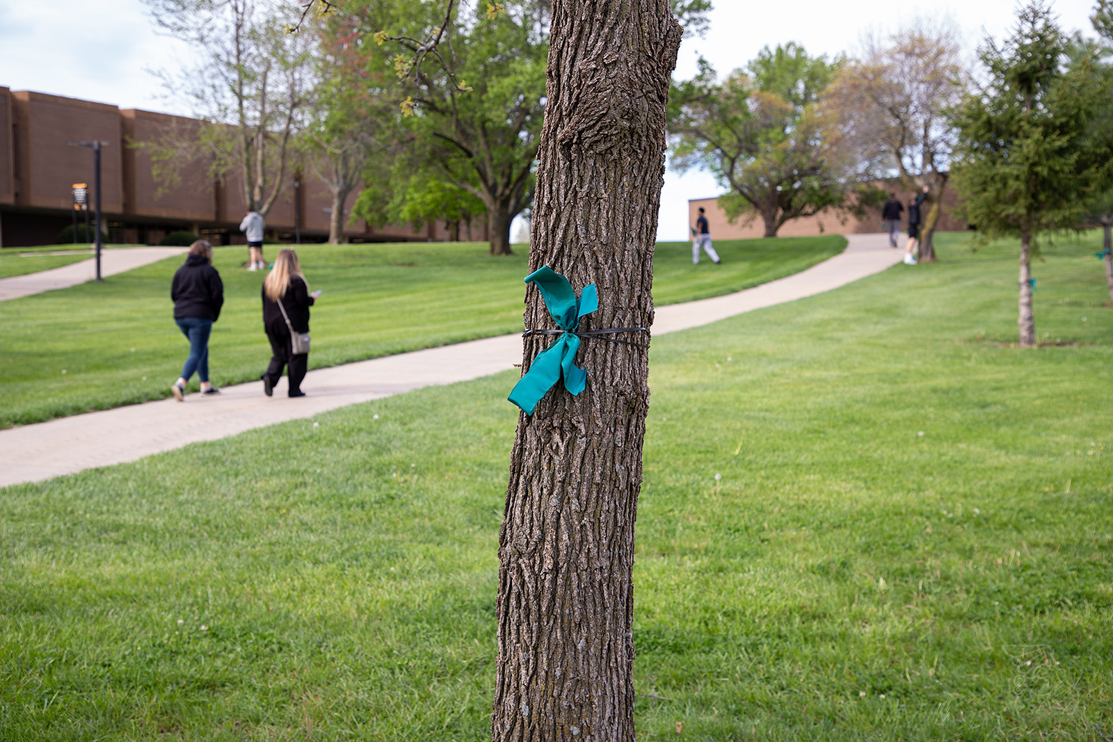 IMG_7862-Enhanced-NR-Edit-X3 SAAM