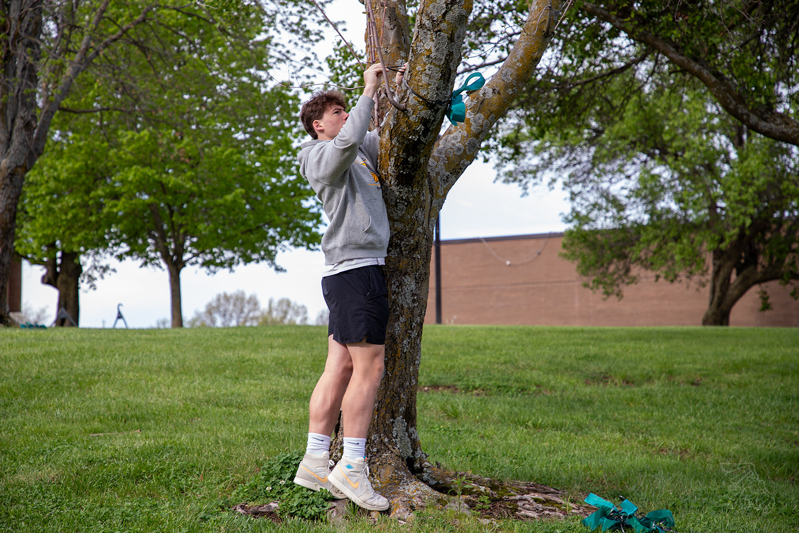 IMG_7867-Enhanced-NR-Edit-X3 SAAM