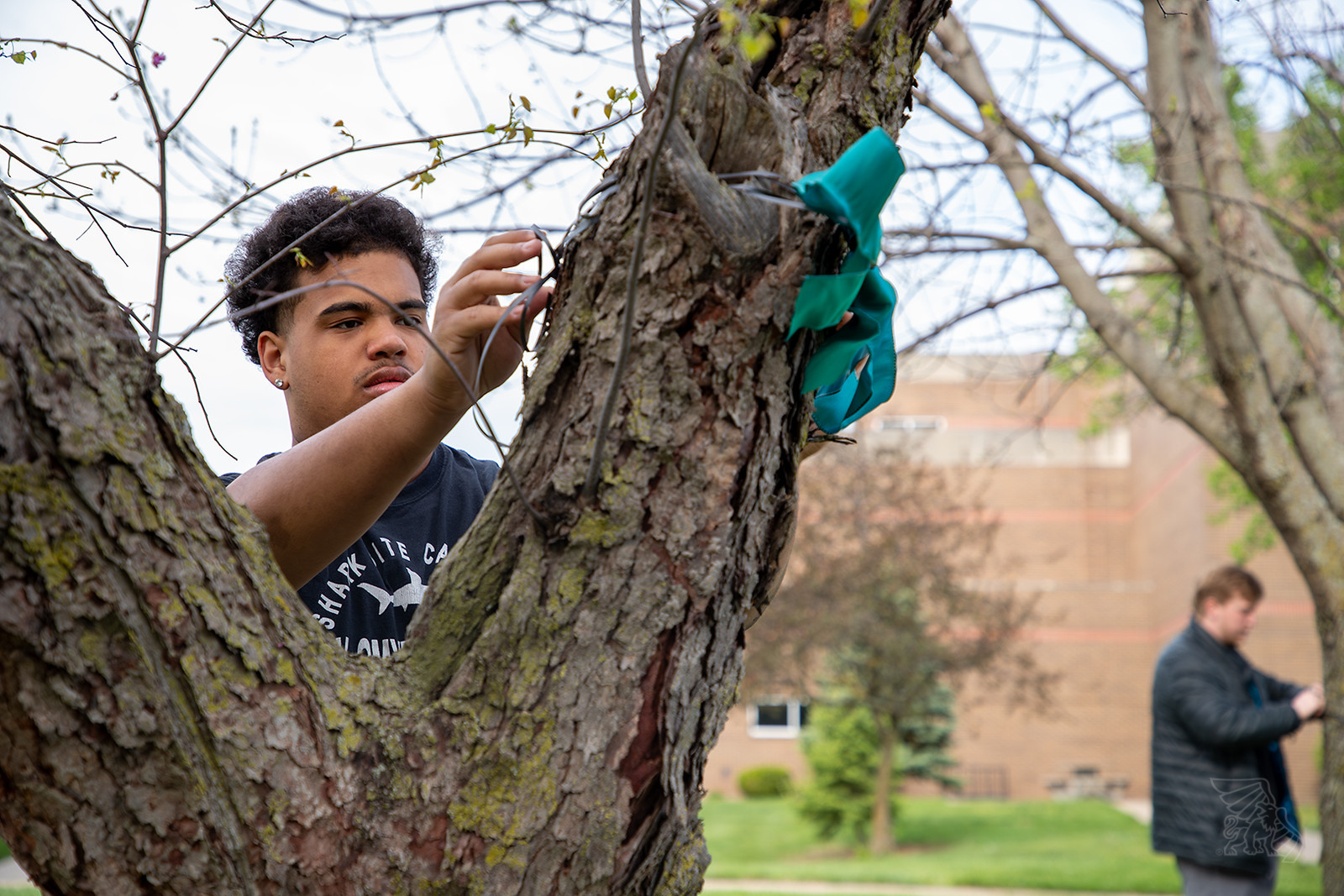 IMG_7871-Enhanced-NR-Edit-X3 SAAM