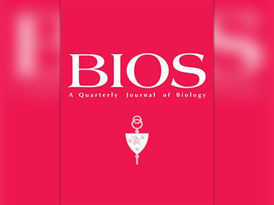 bios cover