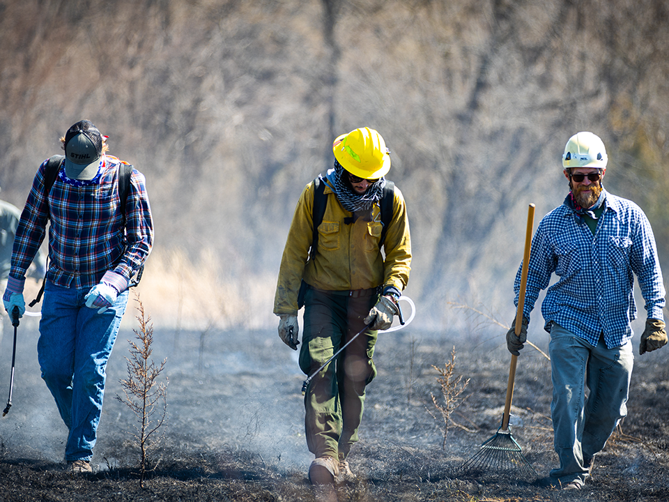 three people walking across the freshly burnt prairie