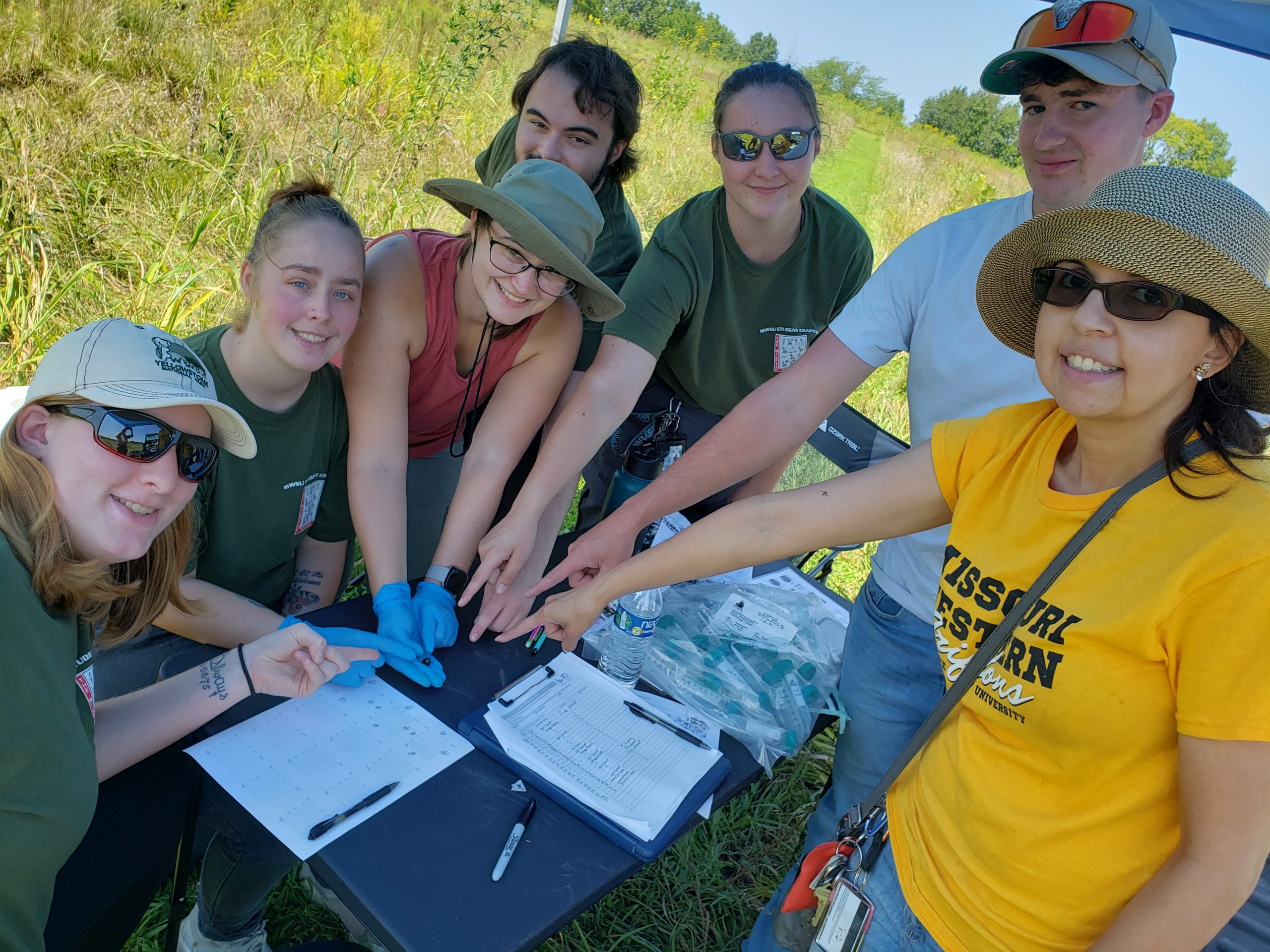 Bumble Bee Atlas Bombus Fraternus 2024 Bumble Bee Atlas Bombus Fraternus 2024