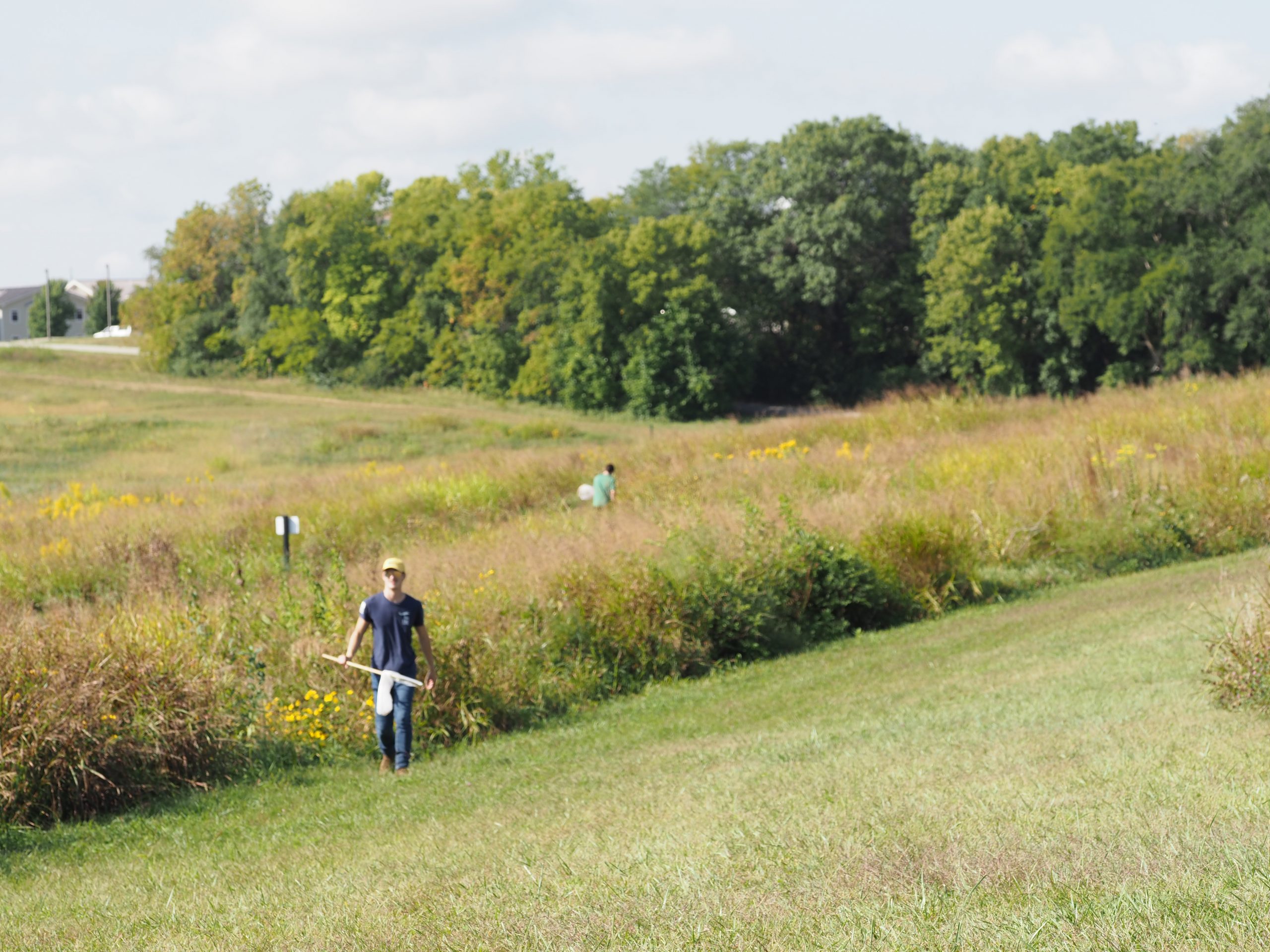 Butterfly Hunting Butterfly Hunting