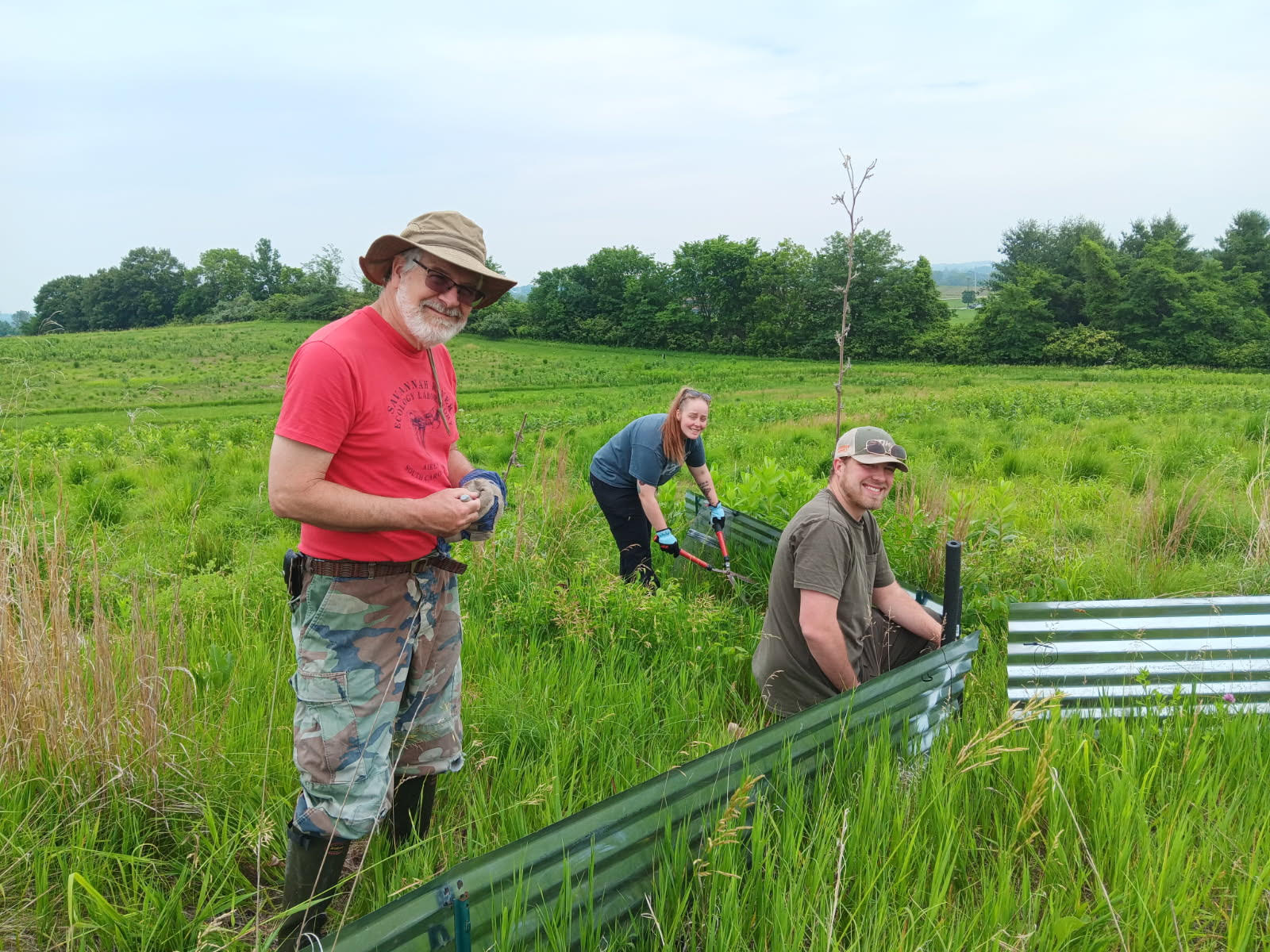 Drift fence Drift Fence