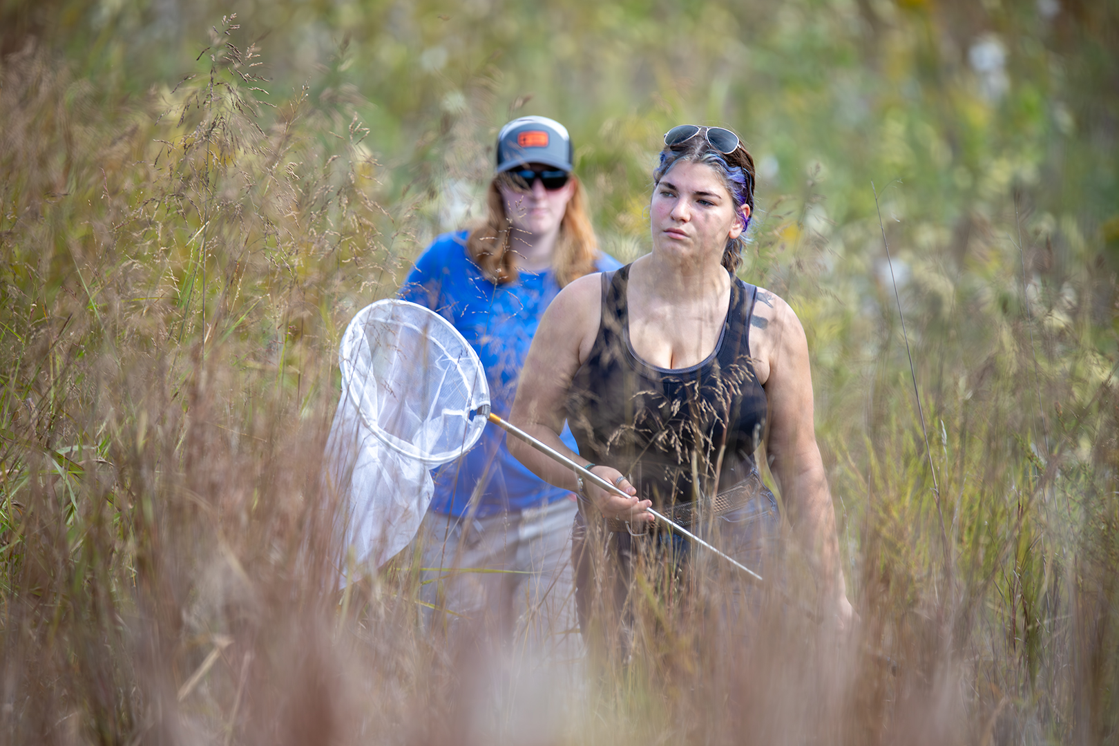 Monarch hunting Monarch Hunting