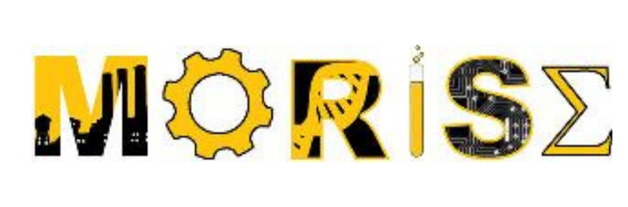 MO-RISE logo