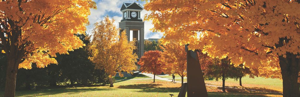 Fall trees on campu